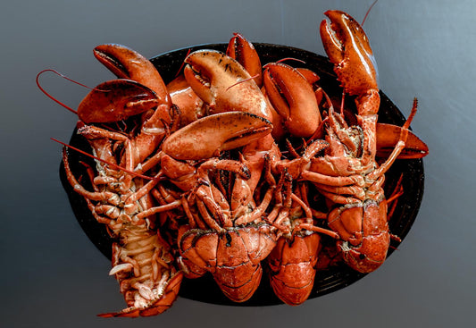 New Brunswick Seafood: Canada’s Hidden Gem for Lovers
