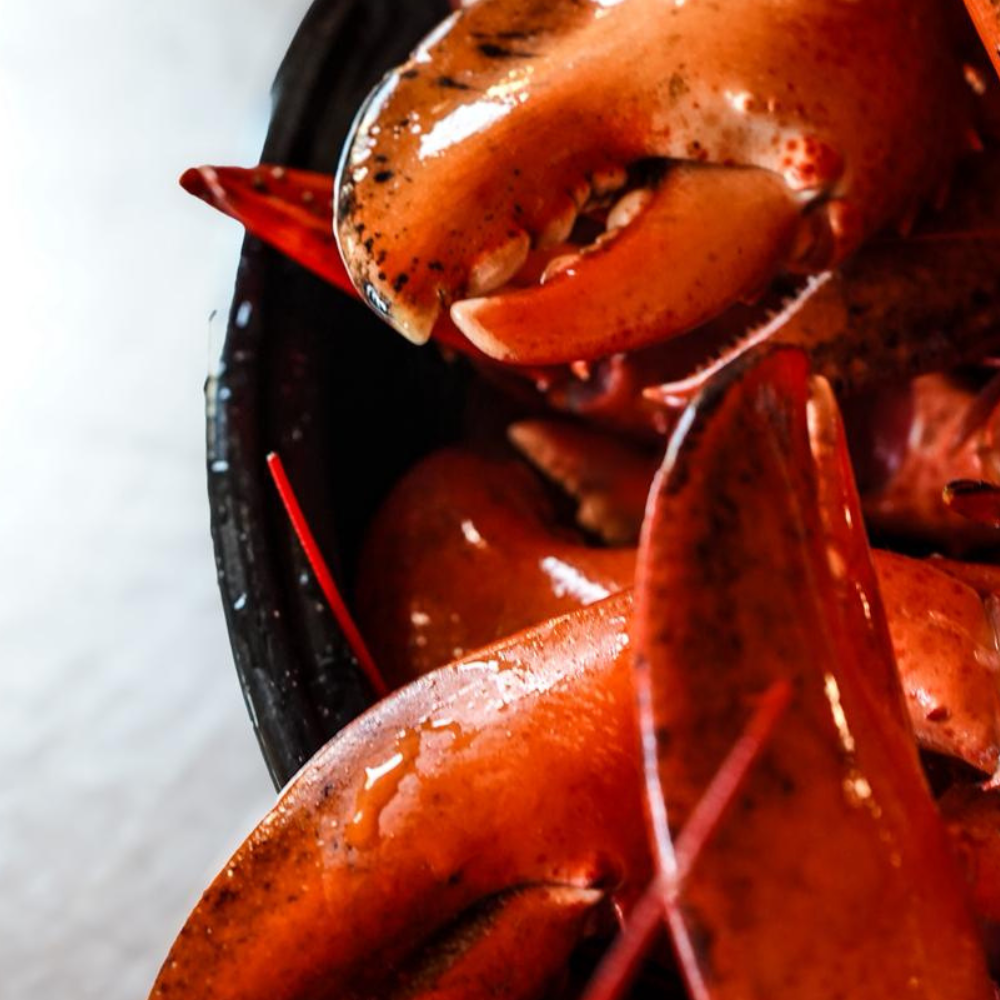 Homard cuit