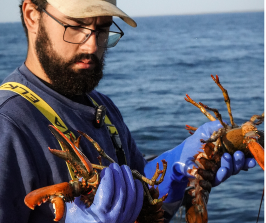 Caught with Care, Rooted in Culture: The Seaside Fresh Promise