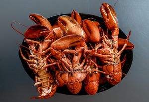 Cooked Lobster