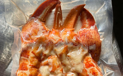 Ancestral Select(Claws, Tails, Knuckles)- Premium