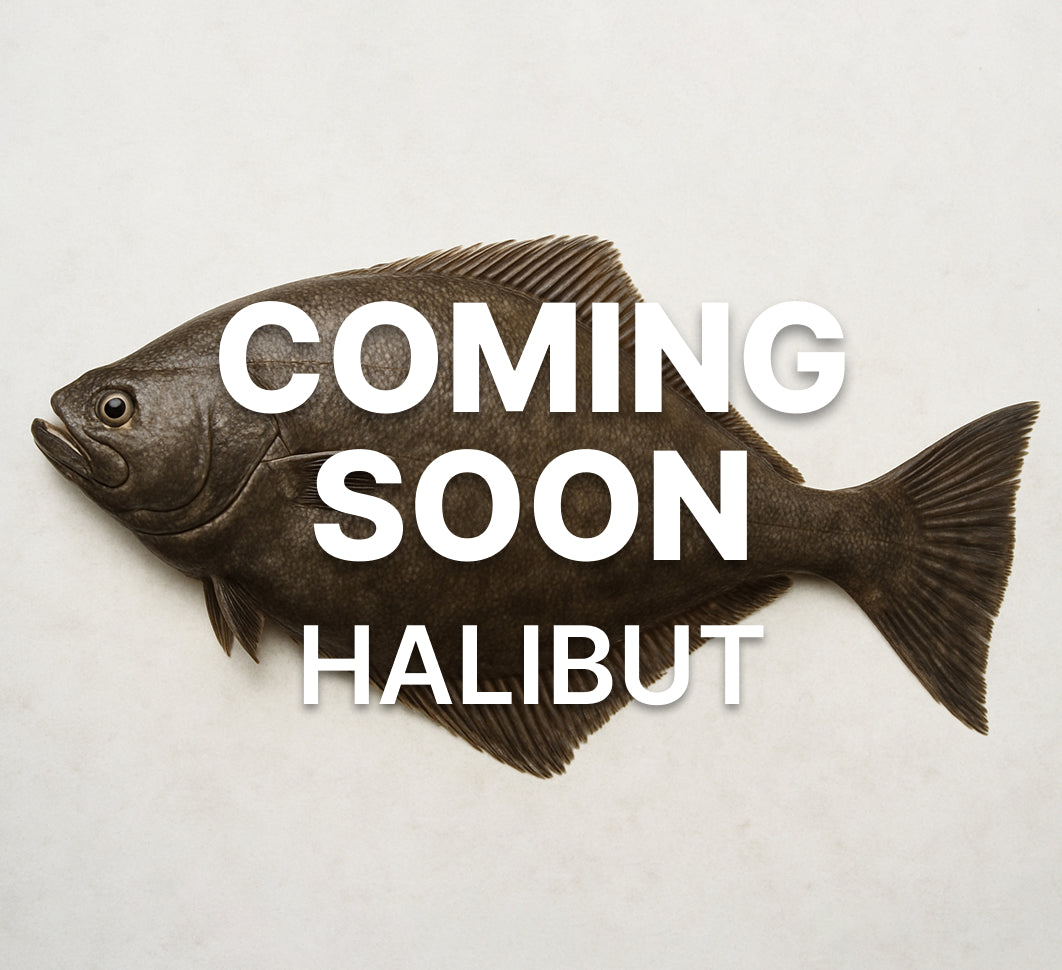 Halibut