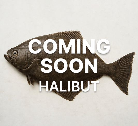 Halibut